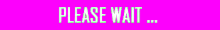 PLEASE WAIT ...
